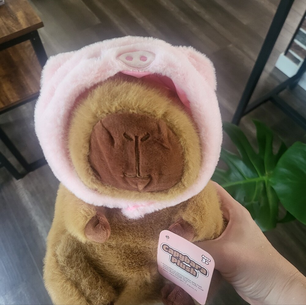 Capybara Plush With Pig Hood